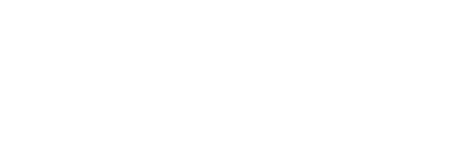 BFSI customer 1