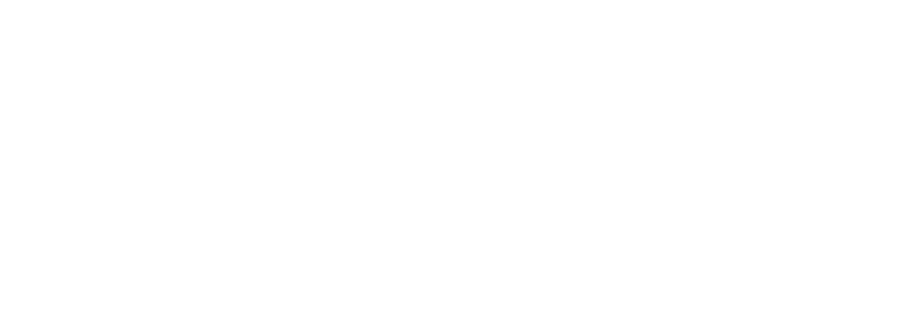 Enterprise customer 3