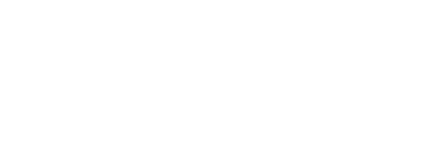 Government customer 1