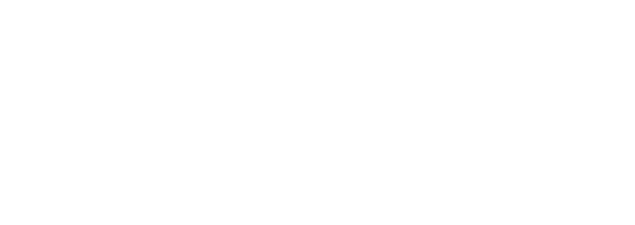 Government customer 5