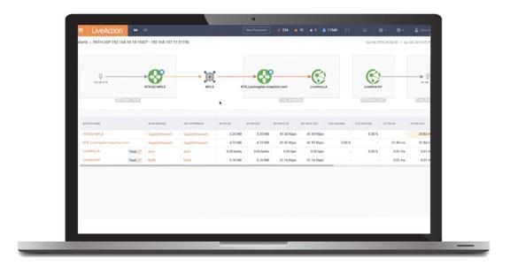 Integrated Flow and Packet-Level Analysis