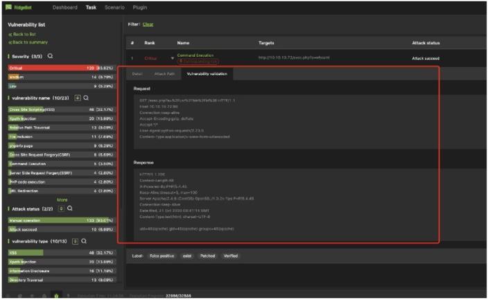 Immediate Web Application Vulnerability Validation