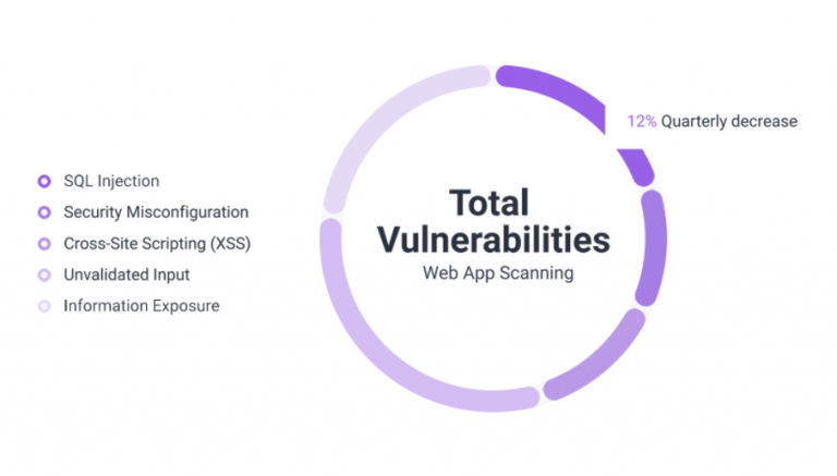 Web Application Scanning